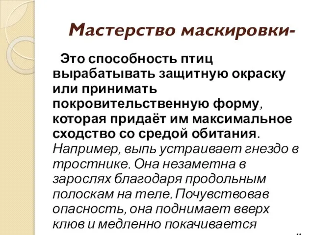 Мастерство маскировки- Это способность птиц вырабатывать защитную окраску или принимать покровительственную форму,