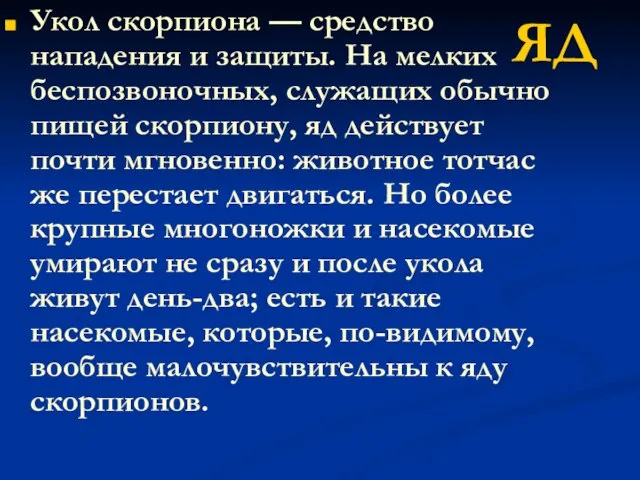 Укол скорпиона — средство нападения и защиты. На мелких беспозвоночных, служащих обычно