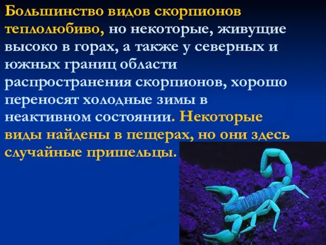 Большинство видов скорпионов теплолюбиво, но некоторые, живущие высоко в горах, а также