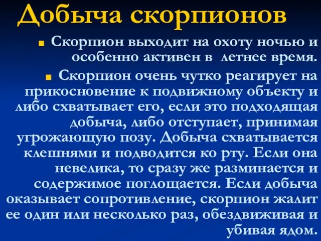 Добыча скорпионов Скорпион выходит на охоту ночью и особенно активен в летнее