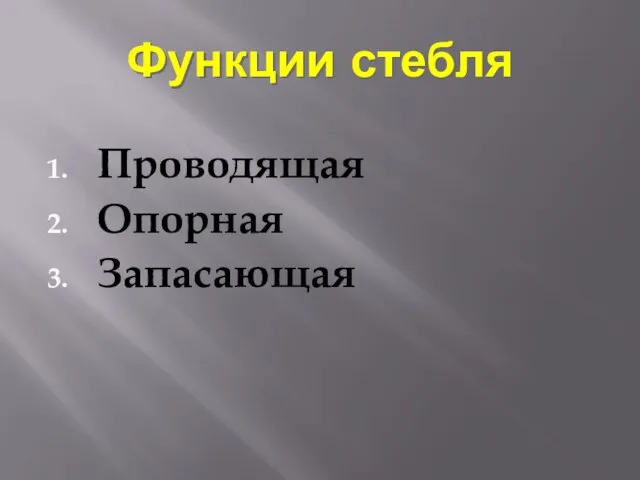 Функции стебля Проводящая Опорная Запасающая