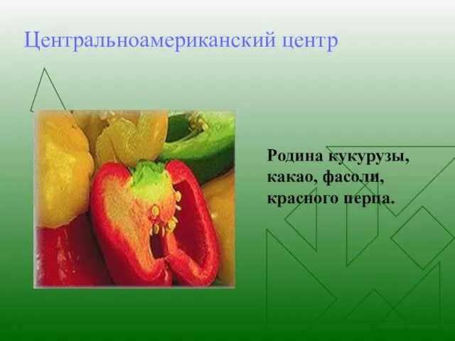 Центральноамериканский центр Родина кукурузы, какао, фасоли, красного перца.