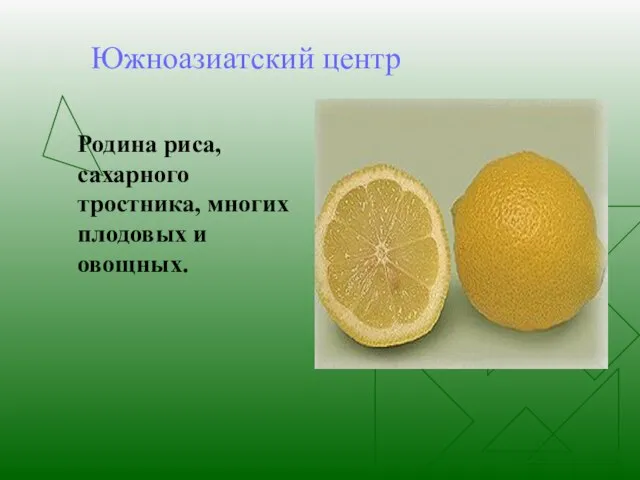 Южноазиатский центр Родина риса, сахарного тростника, многих плодовых и овощных.