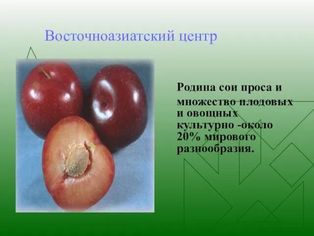 Восточноазиатский центр Родина сои проса и множество плодовых и овощных культурно -около 20% мирового разнообразия.