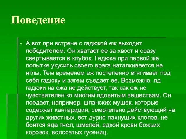 Поведение А вот при встрече с гадюкой еж выходит победителем. Он хватает