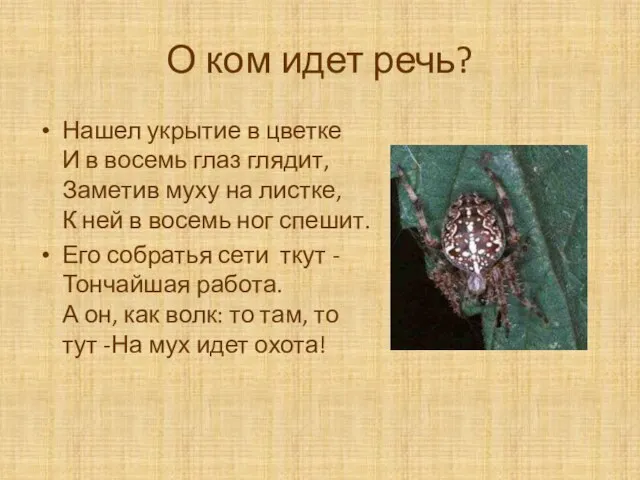 О ком идет речь? Нашел укрытие в цветке И в восемь глаз