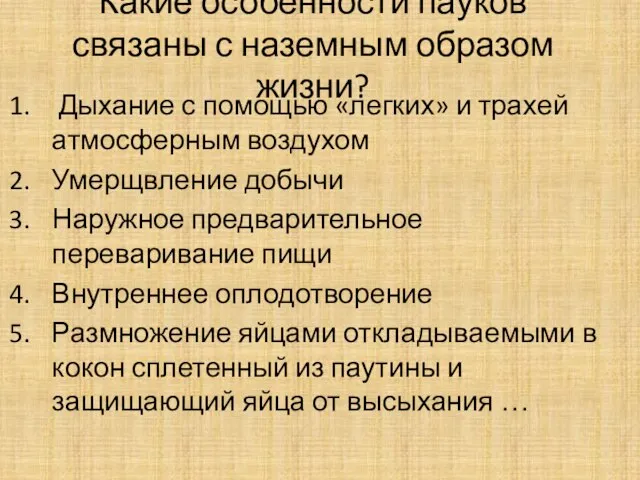 Какие особенности пауков связаны с наземным образом жизни? Дыхание с помощью «легких»