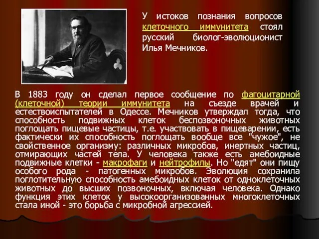 В 1883 году он сделал первое сообщение по фагоцитарной (клеточной) теории иммунитета