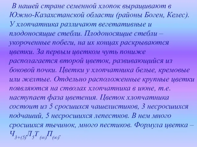 В нашей стране семенной хлопок выращивают в Южно-Казахстанской области (районы Боген, Келес).