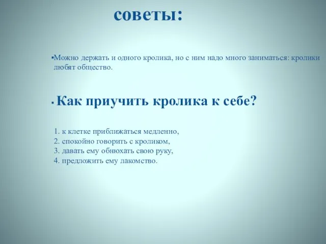 Можно держать и одного кролика, но с ним надо много заниматься: кролики