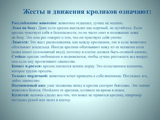 Жесты и движения кроликов означают: Расслабленное животное: животное отдыхает, лучше не мешать.