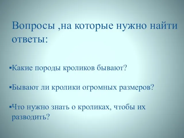 Вопросы ,на которые нужно найти ответы: Какие породы кроликов бывают? Бывают ли