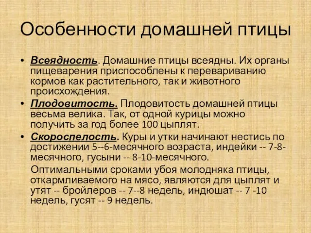 Особенности домашней птицы Всеядность. Домашние птицы всеядны. Их органы пищеварения приспособлены к