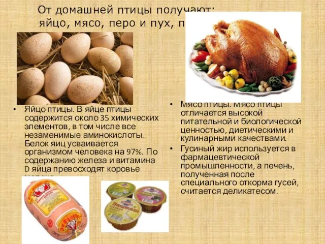 От домашней птицы получают: яйцо, мясо, перо и пух, помет. Яйцо птицы.