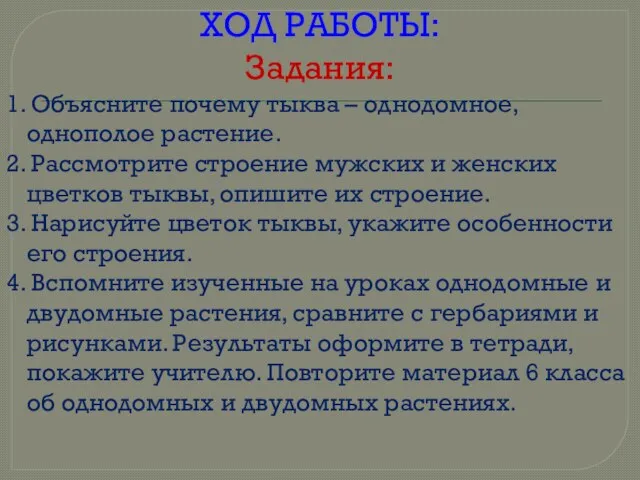 ХОД РАБОТЫ: Задания: 1. Объясните почему тыква – однодомное, однополое растение. 2.