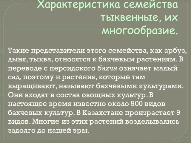 Характеристика семейства тыквенные, их многообразие. Такие представители этого семейства, как арбуз, дыня,