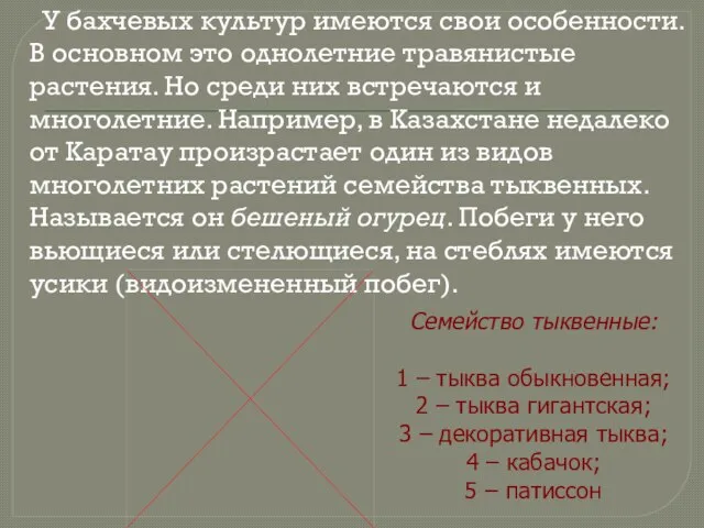 У бахчевых культур имеются свои особенности. В основном это однолетние травянистые растения.