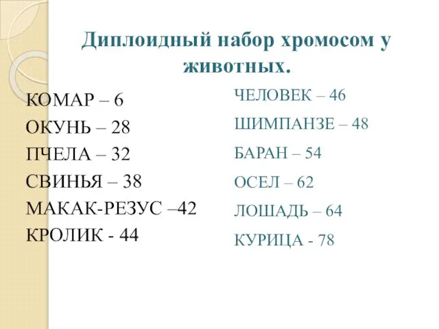 Диплоидный набор хромосом у животных. КОМАР – 6 ОКУНЬ – 28 ПЧЕЛА