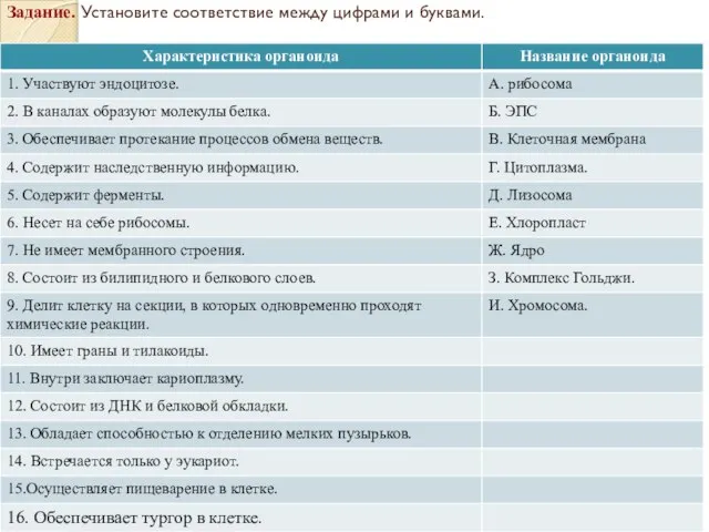 Задание. Установите соответствие между цифрами и буквами.