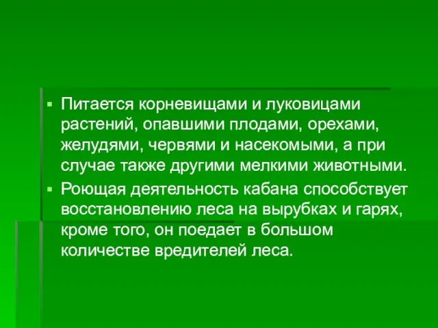 Питается корневищами и луковицами растений, опавшими плодами, орехами, желудями, червями и насекомыми,