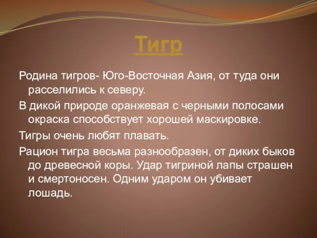 Тигр Родина тигров- Юго-Восточная Азия, от туда они расселились к северу. В