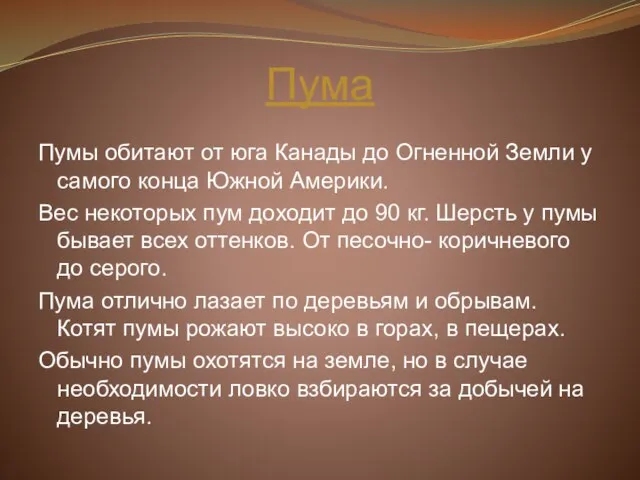 Пума Пумы обитают от юга Канады до Огненной Земли у самого конца