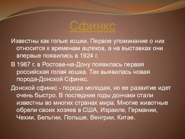 Сфинкс Известны как голые кошки. Первое упоминание о них относится к временам