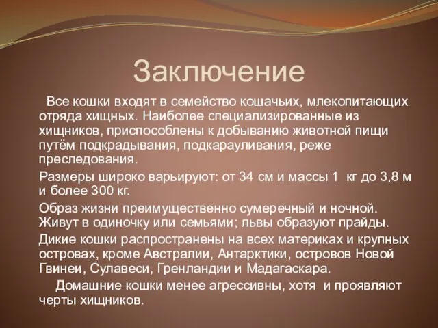 Заключение Все кошки входят в семейство кошачьих, млекопитающих отряда хищных. Наиболее специализированные