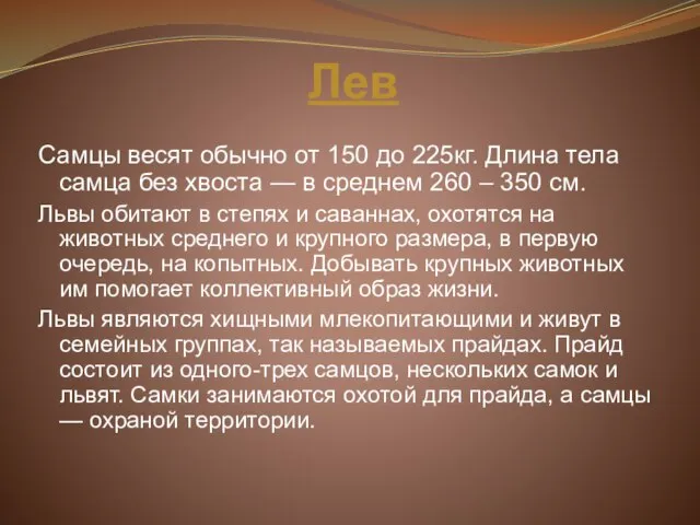 Лев Самцы весят обычно от 150 до 225кг. Длина тела самца без