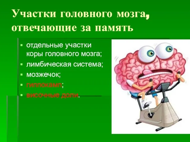 Участки головного мозга, отвечающие за память отдельные участки коры головного мозга; лимбическая