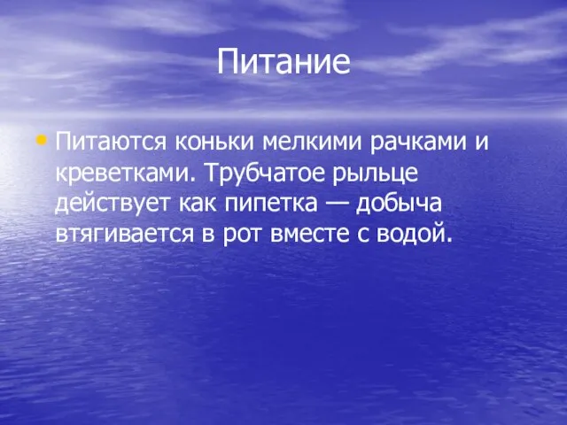 Питание Питаются коньки мелкими рачками и креветками. Трубчатое рыльце действует как пипетка