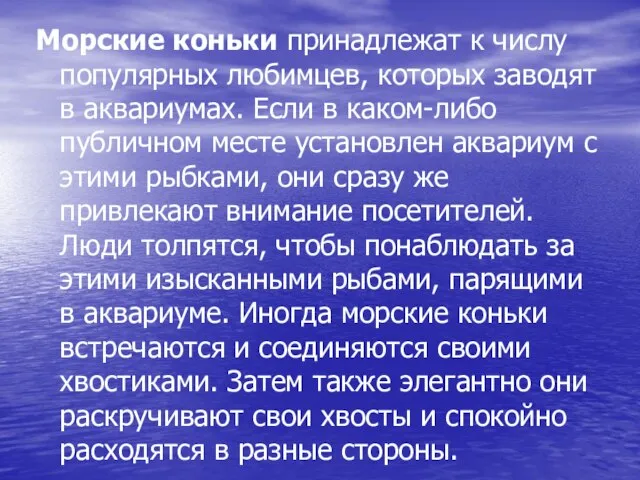 Морские коньки принадлежат к числу популярных любимцев, которых заводят в аквариумах. Если