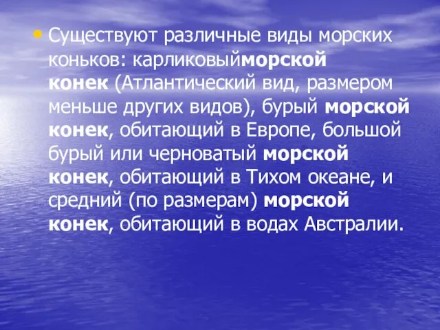 Существуют различные виды морских коньков: карликовыйморской конек (Атлантический вид, размером меньше других