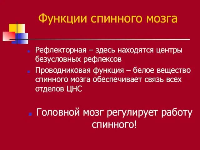 Функции спинного мозга Рефлекторная – здесь находятся центры безусловных рефлексов Проводниковая функция