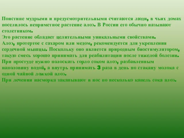 Поистине мудрыми и предусмотрительными считаются люди, в чьих домах поселилось неприметное растение