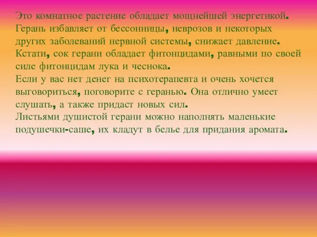 Это комнатное растение обладает мощнейшей энергетикой. Герань избавляет от бессонницы, неврозов и