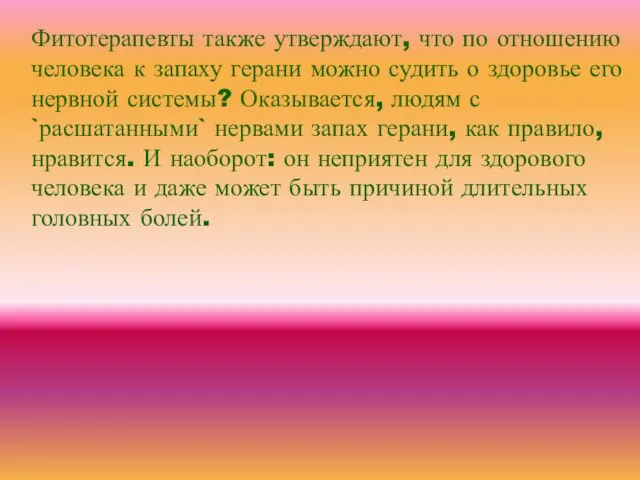 Фитотерапевты также утверждают, что по отношению человека к запаху герани можно судить