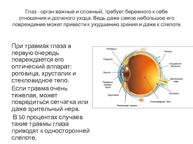 Глаз - орган важный и сложный, требует бережного к себе отношения и