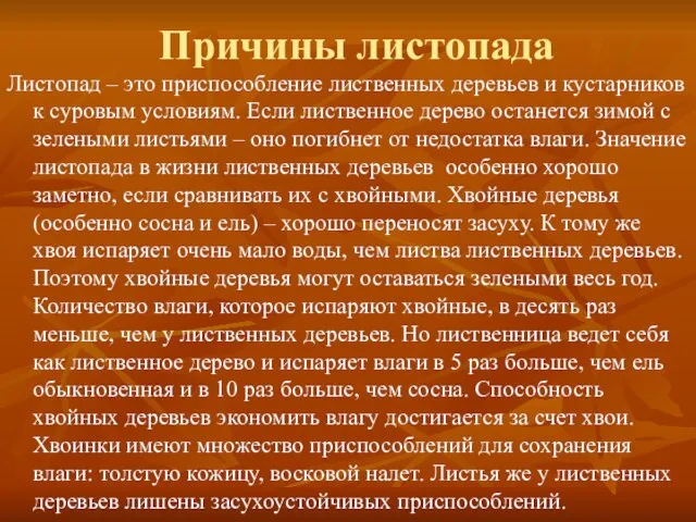 Причины листопада Листопад – это приспособление лиственных деревьев и кустарников к суровым