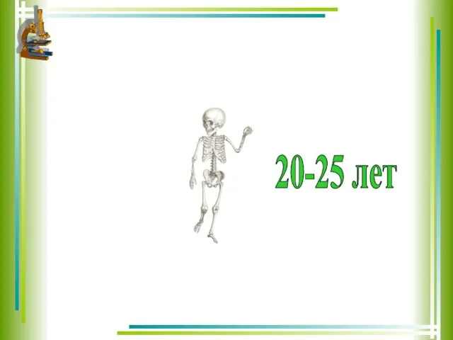 20-25 лет