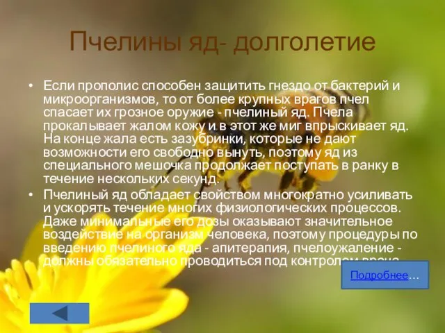 Пчелины яд- долголетие Если прополис способен защитить гнездо от бактерий и микроорганиз­мов,