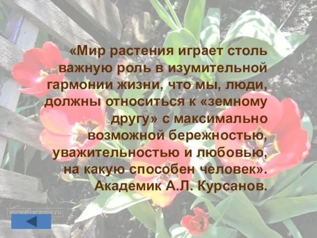 «Мир растения играет столь важную роль в изумительной гармонии жизни, что мы,