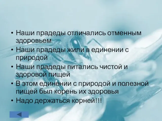 Наши прадеды отличались отменным здоровьем Наши прадеды жили в единении с природой