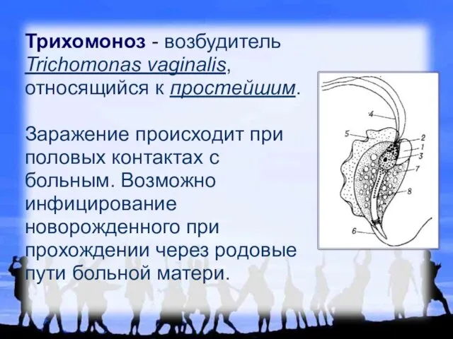 Трихомоноз - возбудитель Trichomonas vaginalis, относящийся к простейшим. Заражение происходит при половых
