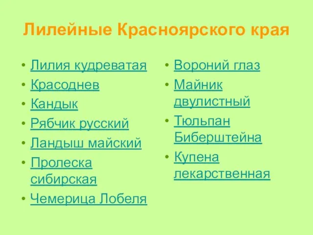 Лилейные Красноярского края Лилия кудреватая Красоднев Кандык Рябчик русский Ландыш майский Пролеска