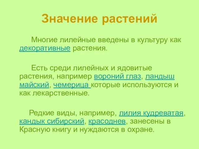 Значение растений Многие лилейные введены в культуру как декоративные растения. Есть среди