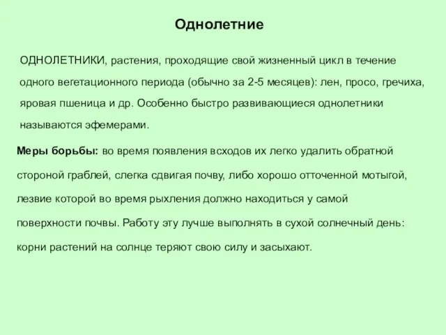 Однолетние ОДНОЛЕТНИКИ, растения, проходящие свой жизненный цикл в течение одного вегетационного периода