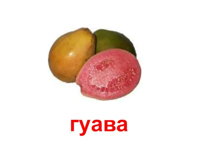 гуава