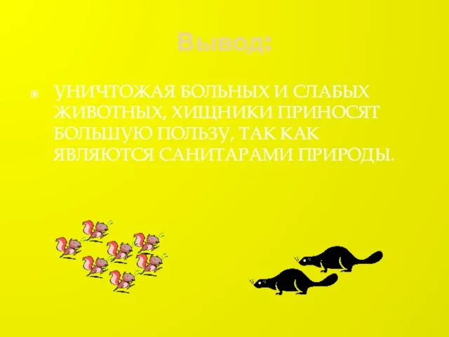 Вывод: УНИЧТОЖАЯ БОЛЬНЫХ И СЛАБЫХ ЖИВОТНЫХ, ХИЩНИКИ ПРИНОСЯТ БОЛЬШУЮ ПОЛЬЗУ, ТАК КАК ЯВЛЯЮТСЯ САНИТАРАМИ ПРИРОДЫ.