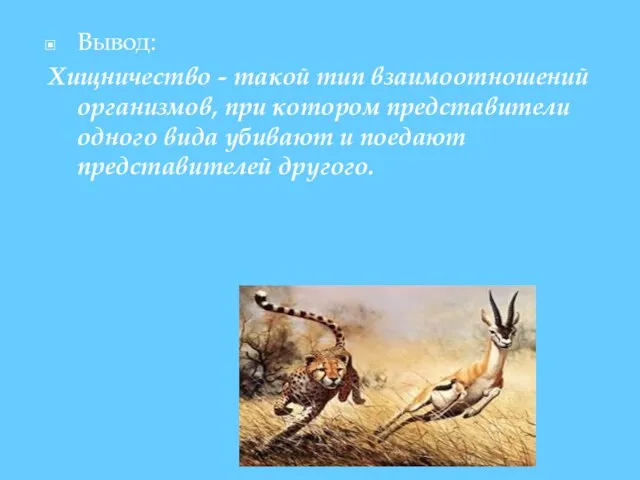 Вывод: Хищничество - такой тип взаимоотношений организмов, при котором представители одного вида